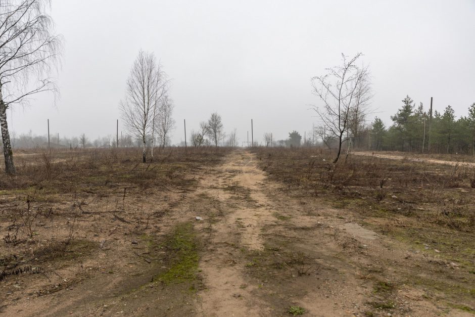 Vilniuje atlaisvinta daugiau kaip 40 ha valstybinės žemės: nukelti seni garažai