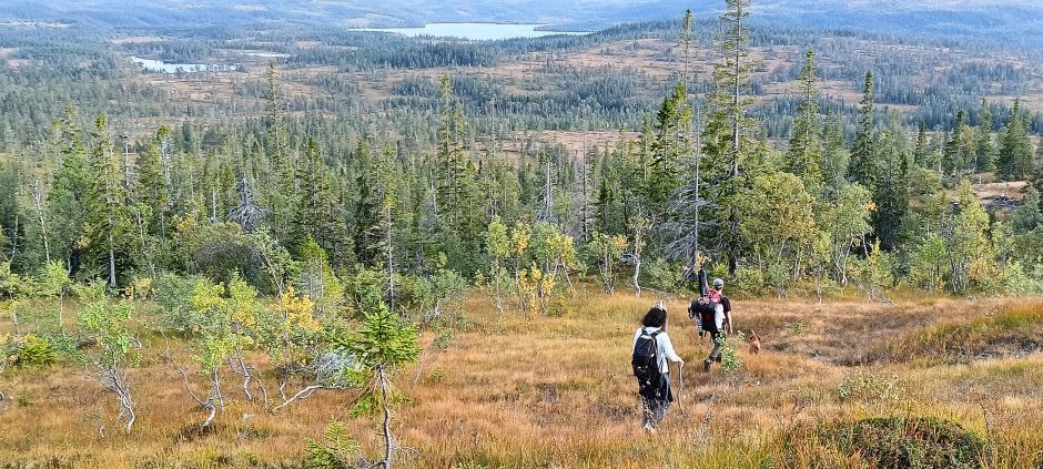 Norvegiško gyvenimo ypatumai lietuvio akimis