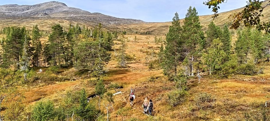 Norvegiško gyvenimo ypatumai lietuvio akimis