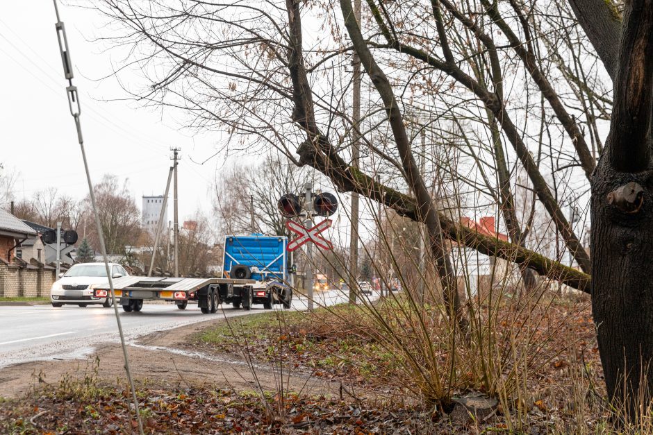 Kaunas tvarkosi: kas padaryta?