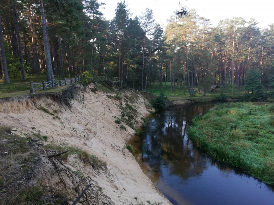 Savaitgalis Dzūkijoje: iškeisk miestą į mišką