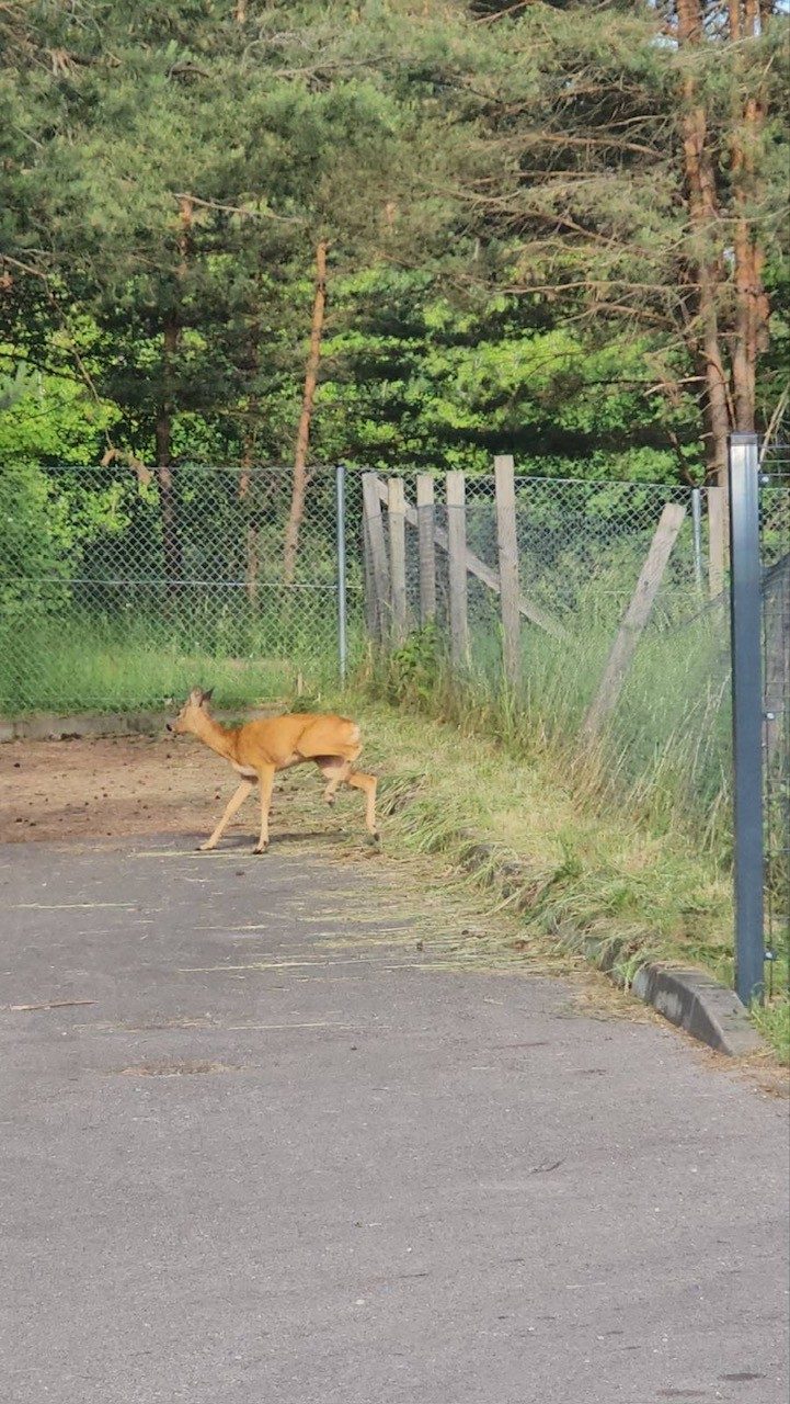 Kleboniškio vandenvietėje sulaukė brangaus palikimo