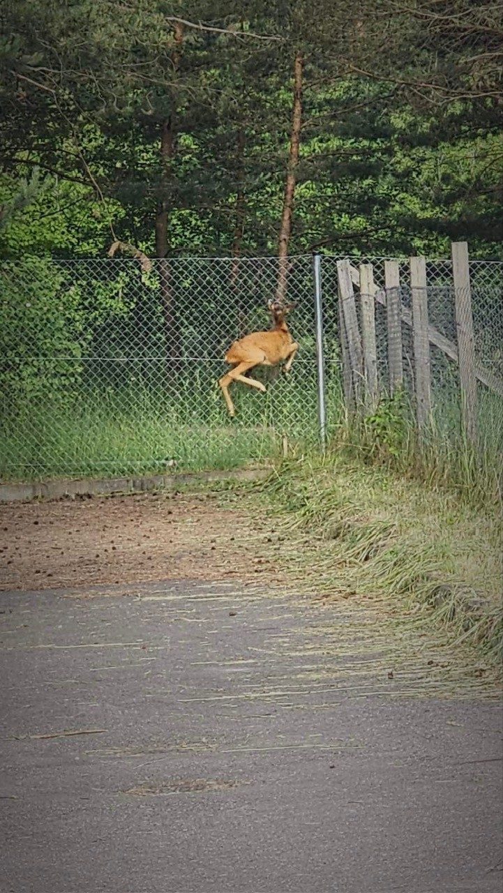 Kleboniškio vandenvietėje sulaukė brangaus palikimo