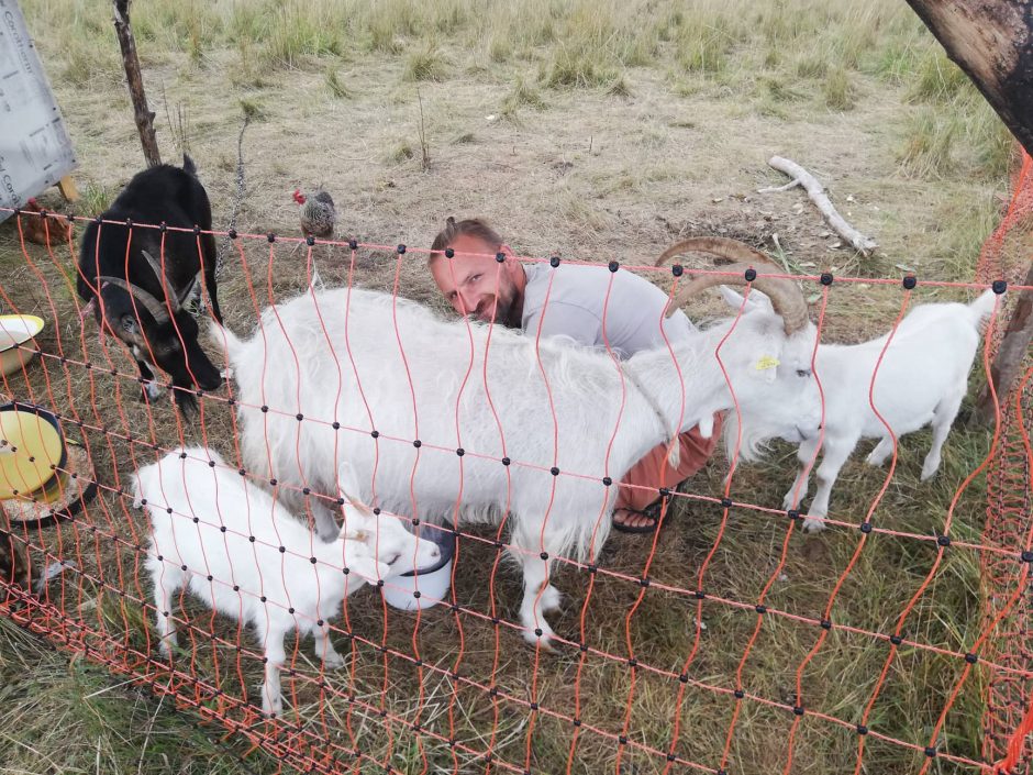 Ir gyventi, ir dirbti, ir mylėti – iš visų plaučių: Lipinskių šeimos meilė lietuviškoms tradicijoms