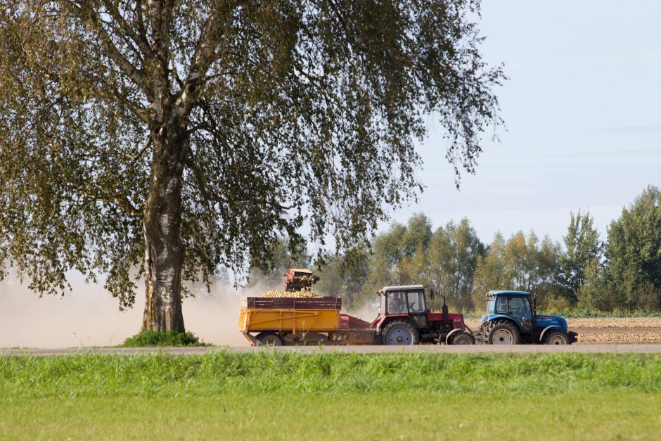 Jaunieji ūkininkai raginami kurti verslą kaime – projektui įgyvendinti galės gauti 40 tūkst. eurų