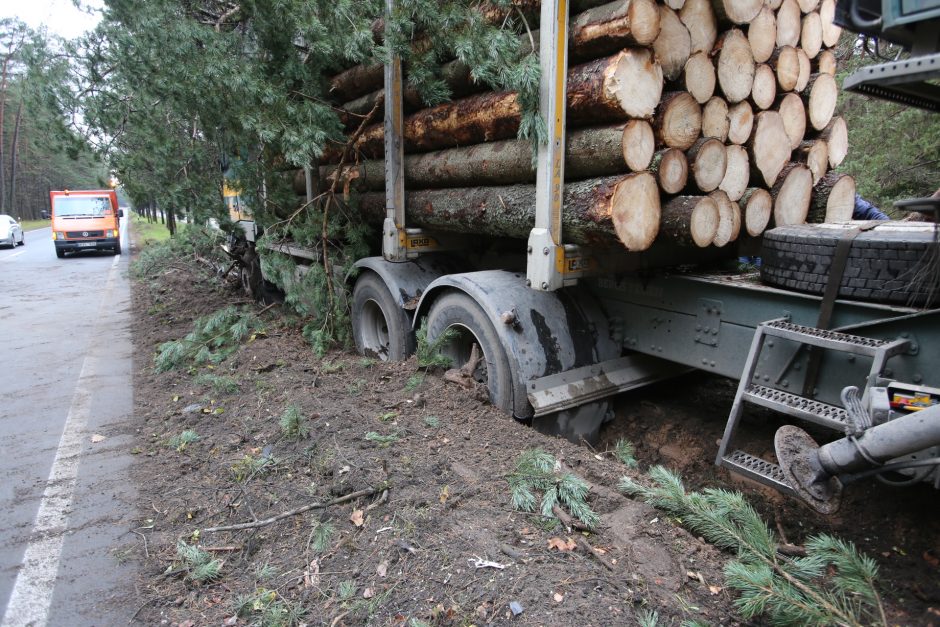 Perdirbėjai nerimauja dėl valstybinės medienos aukcionų