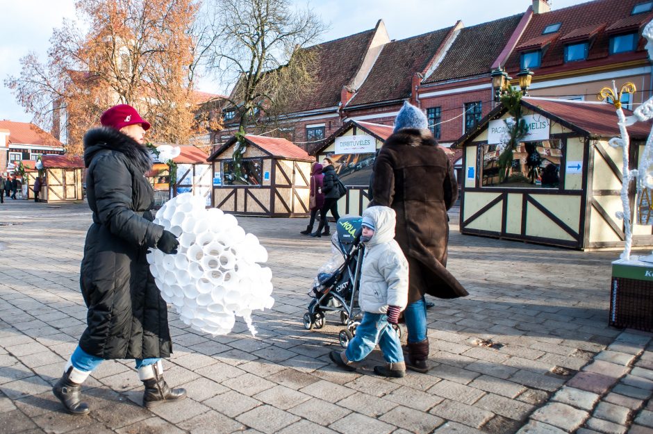 Ar Kauno eglė išgyvens iki Kalėdų?