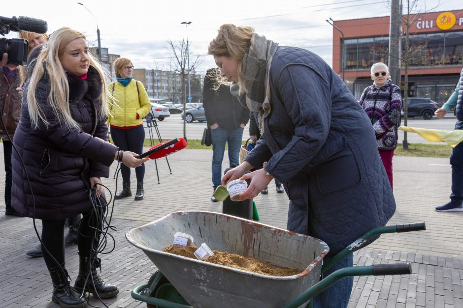 Surengė piketą prieš karjerą Pakarklės miške: beldėsi į tarybos narių sąžinę