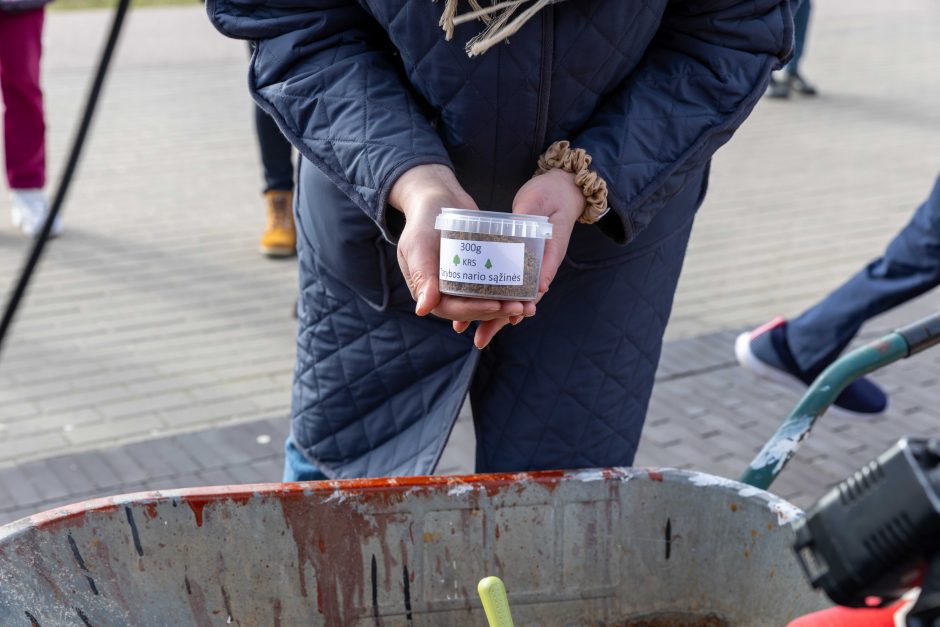 Surengė piketą prieš karjerą Pakarklės miške: beldėsi į tarybos narių sąžinę