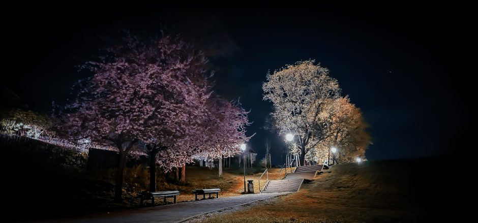 A. Verygos fotografijų paroda