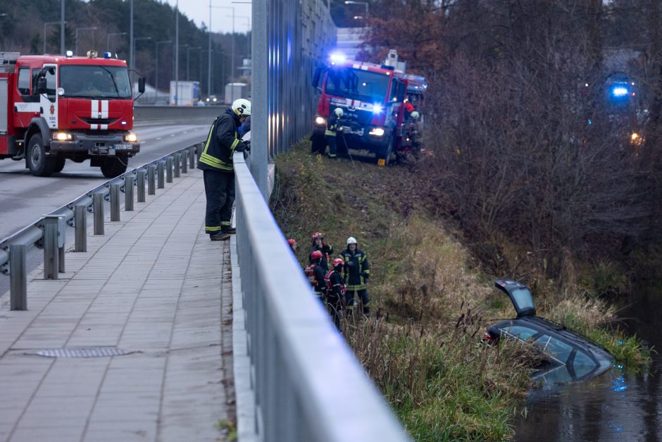 Į upę ties Grigiškėmis įlėkė automobilis: tarnybos ištraukė moterį