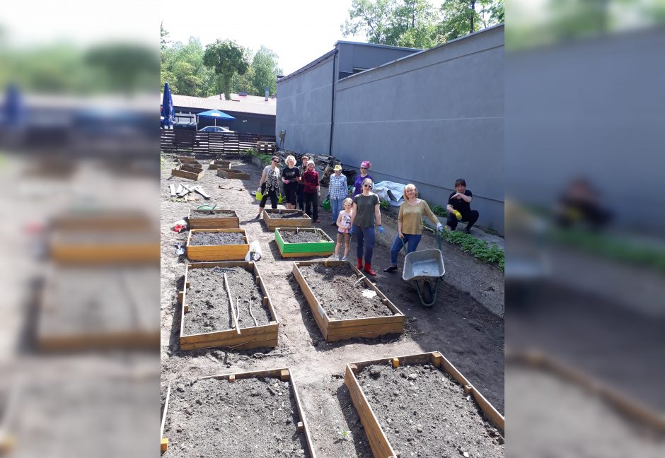 Įgyvendindami ekologiškų daržų idėją, miestuose buria bendruomenes