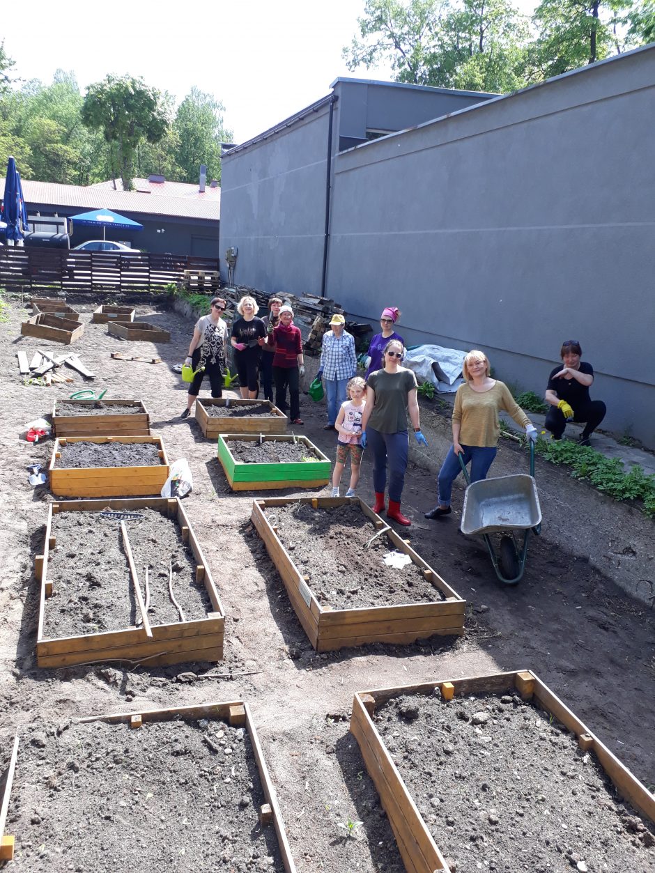 Įgyvendindami ekologiškų daržų idėją, miestuose buria bendruomenes