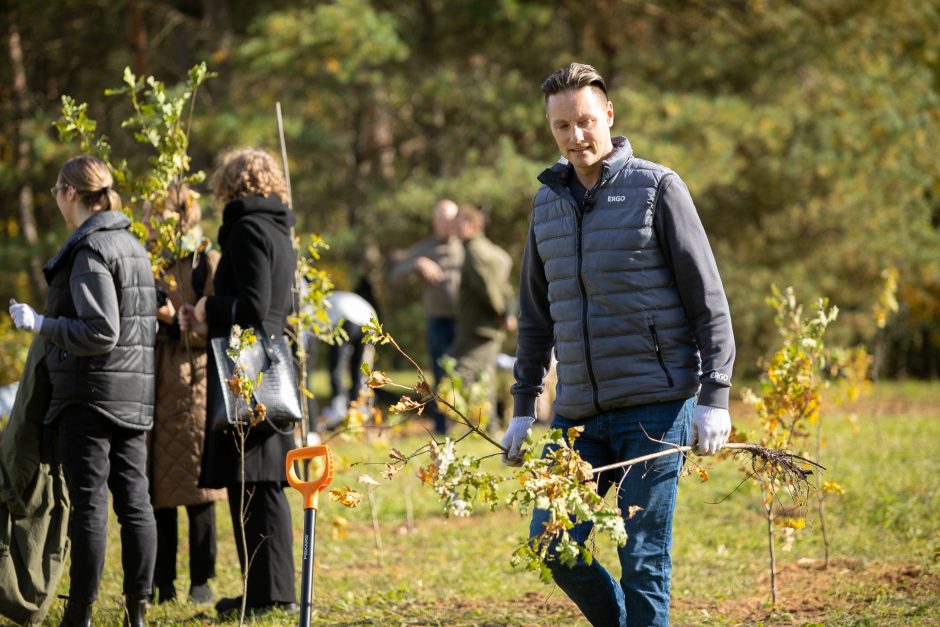 ERGO jubiliejaus dovana – vietoje garažų žaliuos 5 tūkst. medžių giraitė