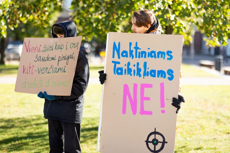 Parlamentarai neįteisino naktinių taikiklių šernams medžioti, bet galutinis priėmimas įstrigo