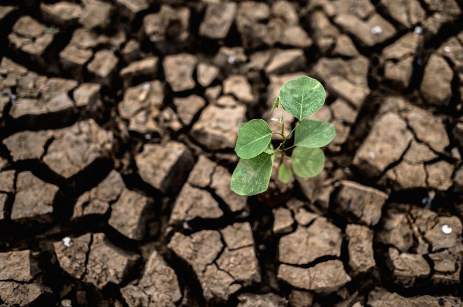 Kauno rajone didins bendruomenių informuotumą apie klimato kaitą