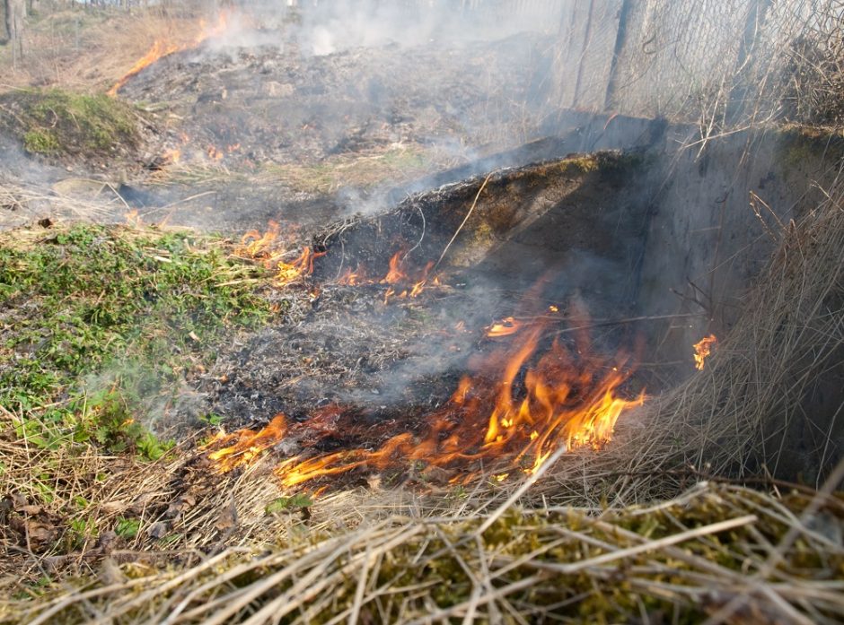 Skirtinguose šalies rajonuose ugniagesiai kovojo su liepsnomis: degė ražienos ir žolė