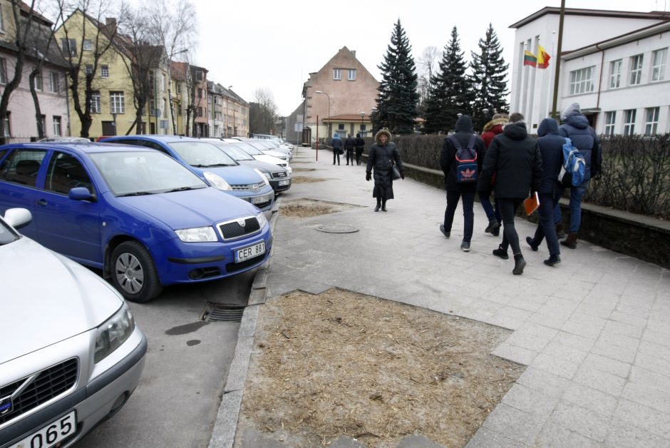 Klaipėdai trūksta vyriausiojo sodininko