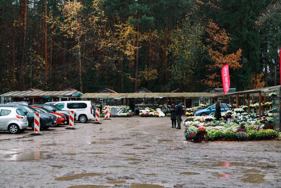 Kauniečiai traukia lankyti kapų: eilės, gėlės ir žvakių gausa