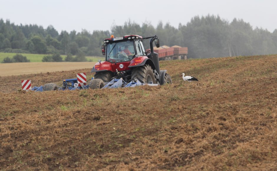 Kompensacijas gaus daugiau nuostolius patiriančių ūkininkų