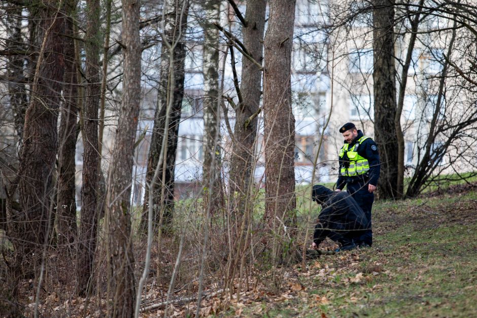 Galimai pagrobto vaiko paieška: apklausiami liudininkai, „šukuojama“ įvykio vieta