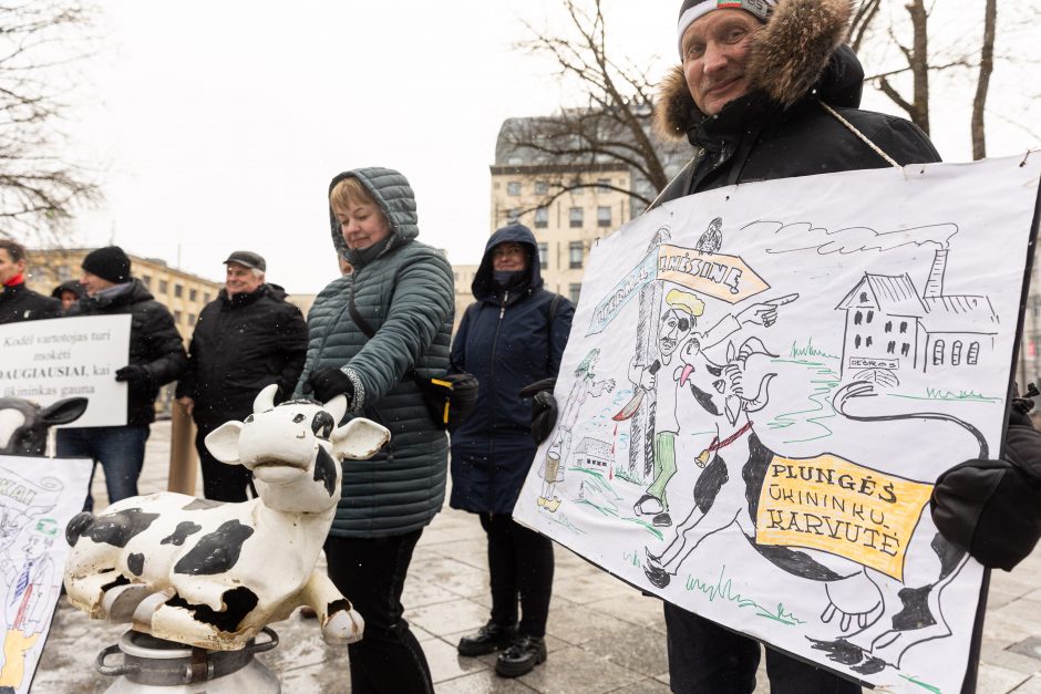 Pieno supirkimo kainomis nepatenkinti ūkininkai Vyriausybei grasina masiniais protestais