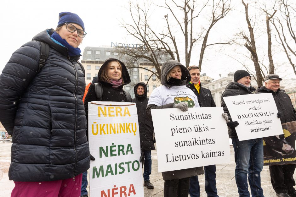 Pieno supirkimo kainomis nepatenkinti ūkininkai Vyriausybei grasina masiniais protestais