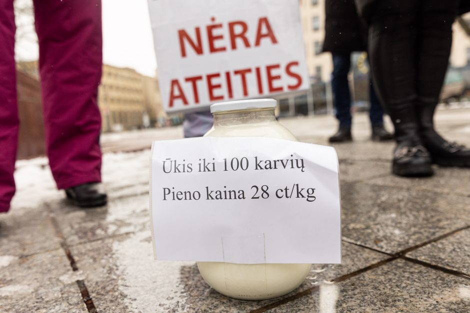 Pieno supirkimo kainomis nepatenkinti ūkininkai Vyriausybei grasina masiniais protestais