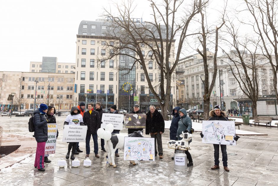 Pieno supirkimo kainomis nepatenkinti ūkininkai Vyriausybei grasina masiniais protestais