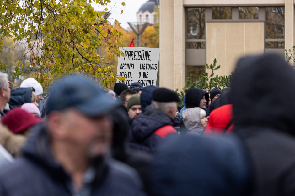 Tūkstantinis mitingas dėl NT mokesčio: uždaromas vienas iš Seimo įėjimų