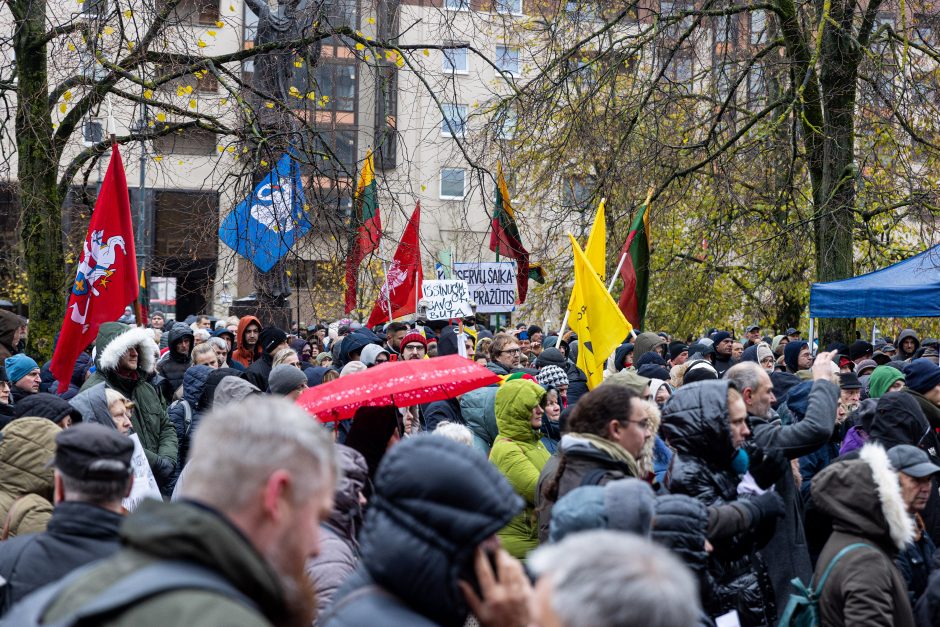 Tūkstantinis mitingas dėl NT mokesčio: uždaromas vienas iš Seimo įėjimų