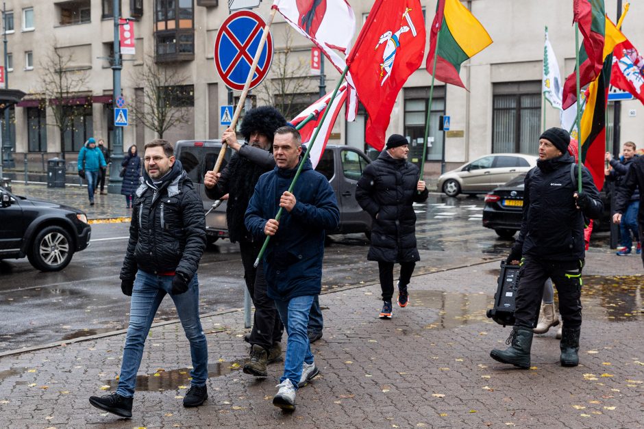 Tūkstantinis mitingas dėl NT mokesčio: uždaromas vienas iš Seimo įėjimų