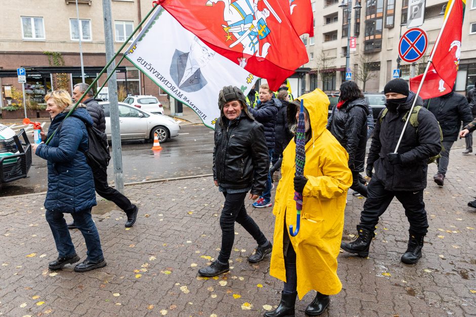 Tūkstantinis mitingas dėl NT mokesčio: uždaromas vienas iš Seimo įėjimų