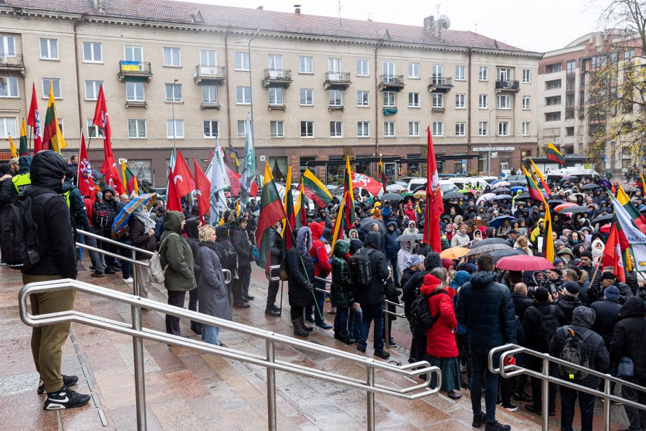 Tūkstantinis mitingas dėl NT mokesčio: uždaromas vienas iš Seimo įėjimų