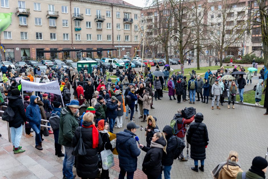 Prie Seimo – mitingas prieš miškų naikinimą: „Dievas sunaikins niokojančius žemę“