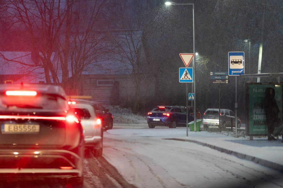 Apie orų maišalynę: Lietuva padalinta į keletą dalių