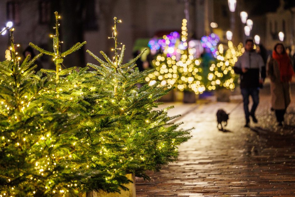 Kaunas plūsta į Rotušės aikštę: Kalėdų eglės įžiebimą lydės žinomų atlikėjų koncertas