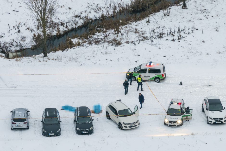 Apie siaubą Elektrėnuose: patėvio sužeista podukra bandė slėptis kavinėje?