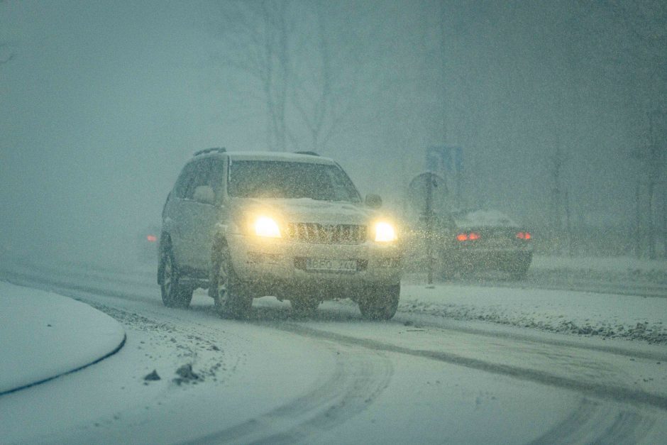 Vilniuje įsismarkauja pūga