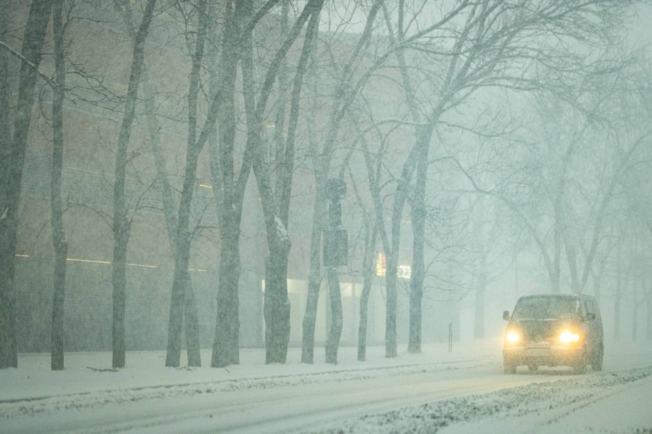 Vilniuje įsismarkauja pūga