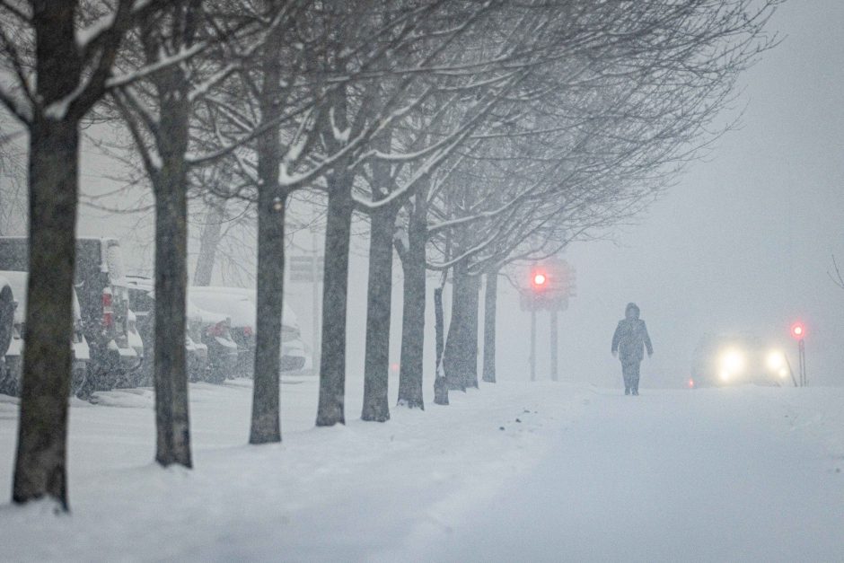 Vilniuje įsismarkauja pūga