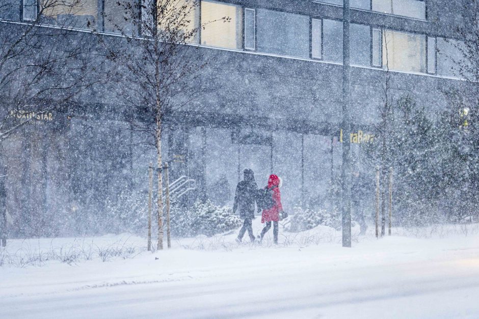 Vilniuje įsismarkauja pūga