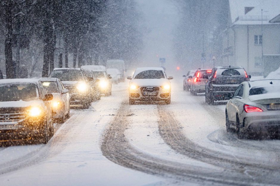 Vilniuje įsismarkauja pūga