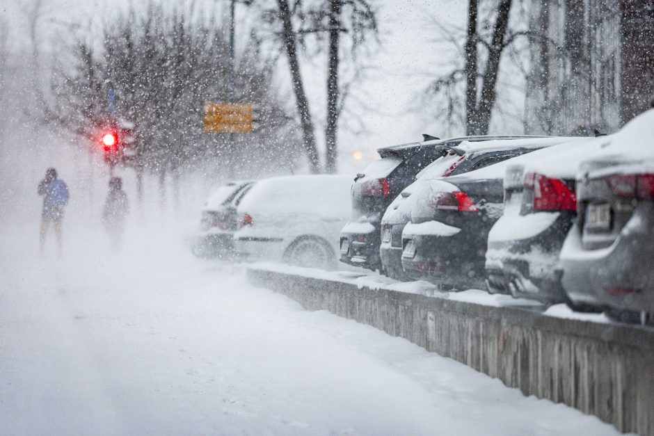 Vilniuje įsismarkauja pūga