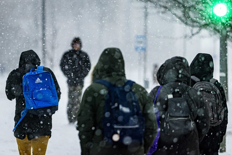 Vilniuje įsismarkauja pūga