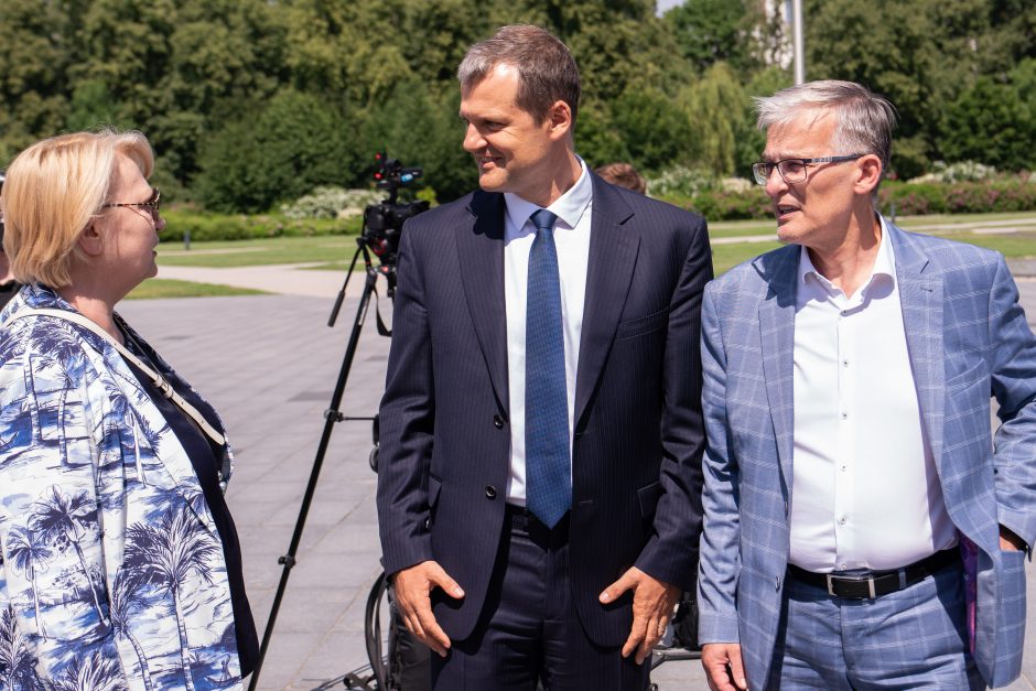 V. Blinkevičiūtė: svarbu, kad EP būtų stiprių tradicinių partijų rankose