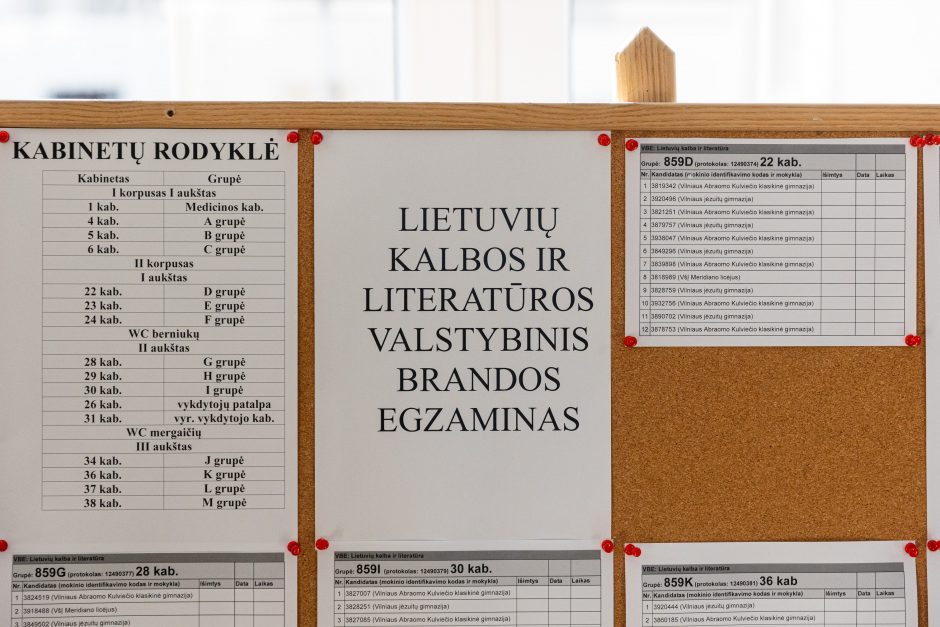 Lietuvių kalbos egzamino lape – rašybos klaidos: įvardijo, kodėl taip nutiko