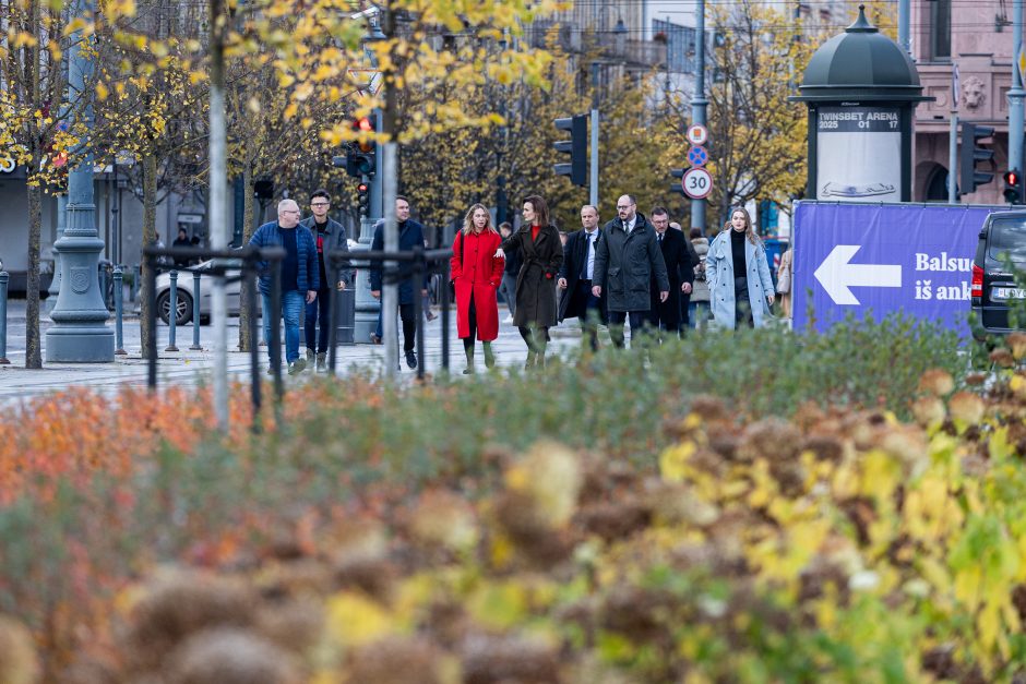 2024-ųjų Seimo rinkimai: antra išankstinio balsavimo diena antrajame ture