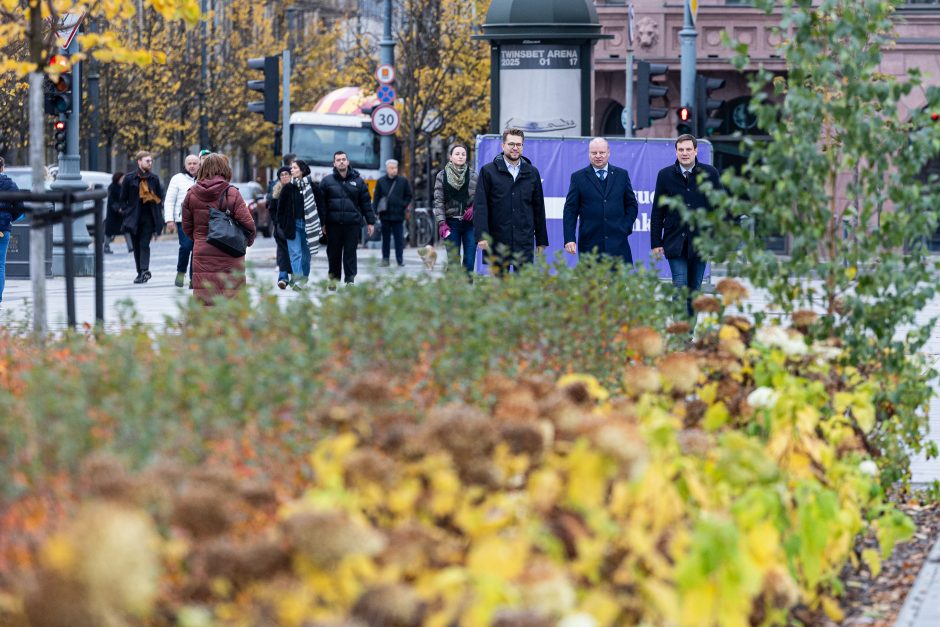 2024-ųjų Seimo rinkimai: tęsiasi išankstinis balsavimas antrajame ture