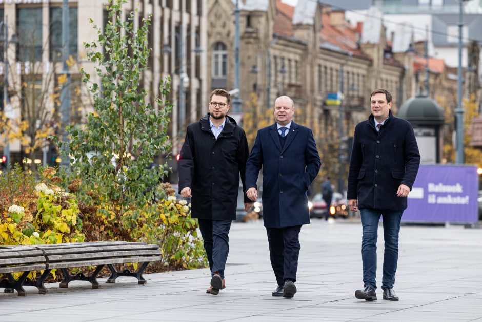 2024-ųjų Seimo rinkimai: tęsiasi išankstinis balsavimas antrajame ture